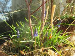 EIMG_7409