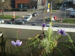 EIMG_7486