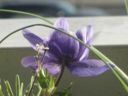 EIMG_7487