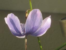 EIMG_7489