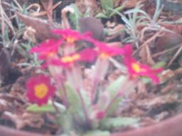 EIMG_7490