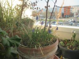 EIMG_7492