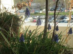 EIMG_7493