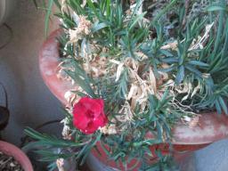 EIMG_7504
