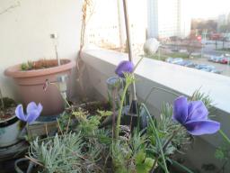 EIMG_7505