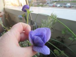 EIMG_7506