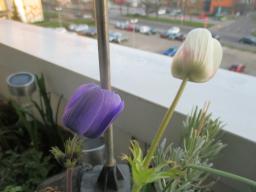 EIMG_7508