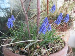EIMG_7511