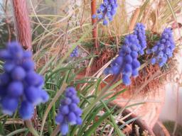 EIMG_7512