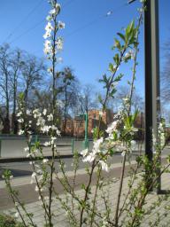 EIMG_7566