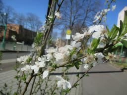 EIMG_7567