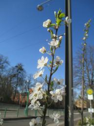 EIMG_7568