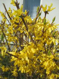 EIMG_7571