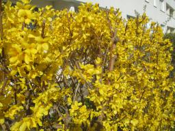 EIMG_7573