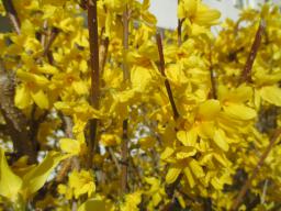 EIMG_7574