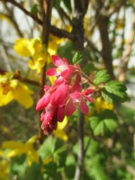 EIMG_7575