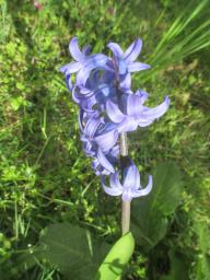 EIMG_7578