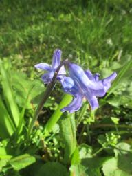 EIMG_7579