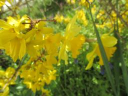 EIMG_7580