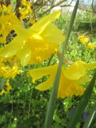 EIMG_7581