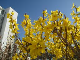 EIMG_7582