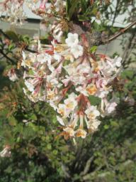 EIMG_7583