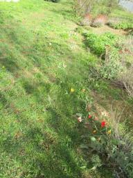 EIMG_7584