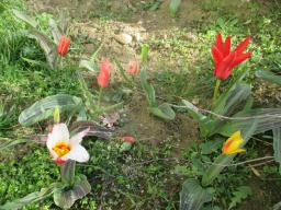 EIMG_7585