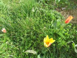 EIMG_7586
