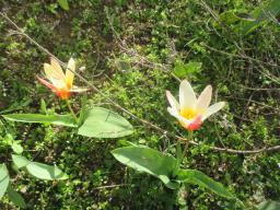 EIMG_7587