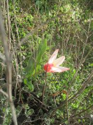 EIMG_7588
