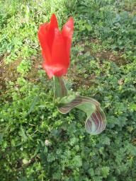 EIMG_7589