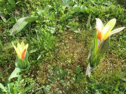 EIMG_7590
