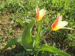 EIMG_7591