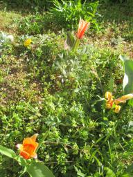 EIMG_7592