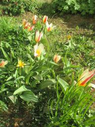 EIMG_7593