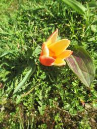 EIMG_7594