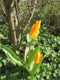 EIMG_7595