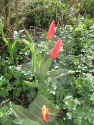 EIMG_7596