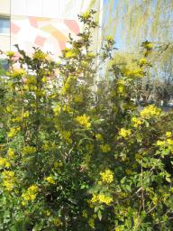 EIMG_7597
