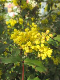 EIMG_7598
