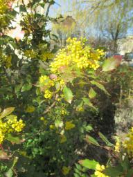 EIMG_7599