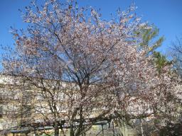 EIMG_7600