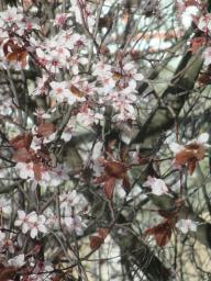 EIMG_7601