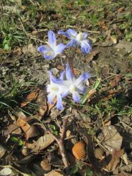 EIMG_7602