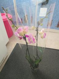 EIMG_7603
