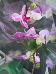 EIMG_7605