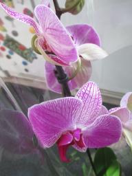 EIMG_7606
