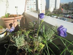EIMG_7613