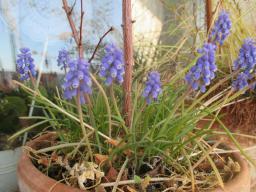 EIMG_7615